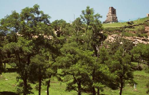 沈阳最漂亮的十大美人,沈阳女孩最漂亮的照片