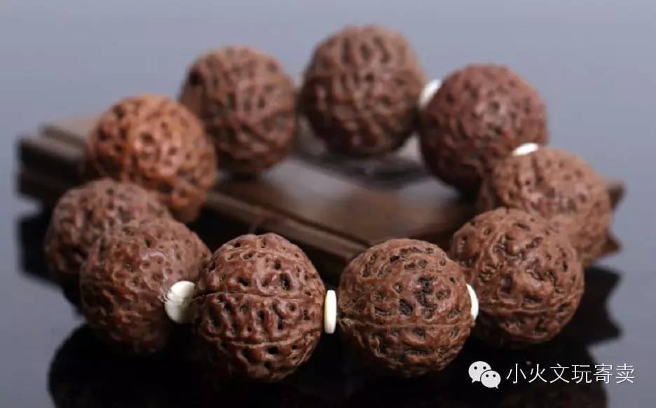 金刚和落地红的图片,金刚落地红视频