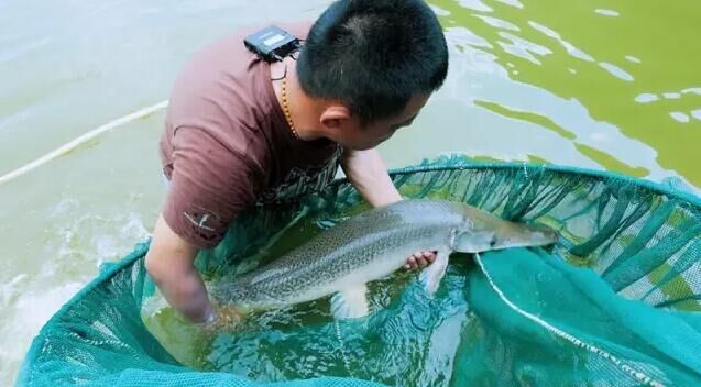 钓鱼探钓达人,钓鱼达人视频海钓