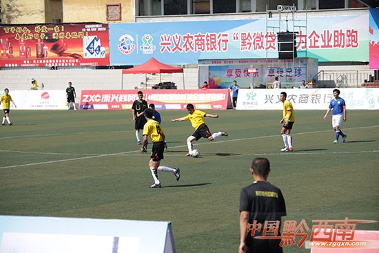 世界杯开幕式南非,贞丰世界杯