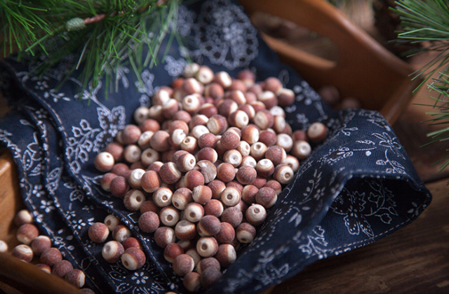 比燕窝更好的植物,比燕窝好的植物