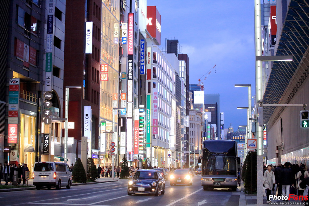 春之物语完整视频,《春之物语》