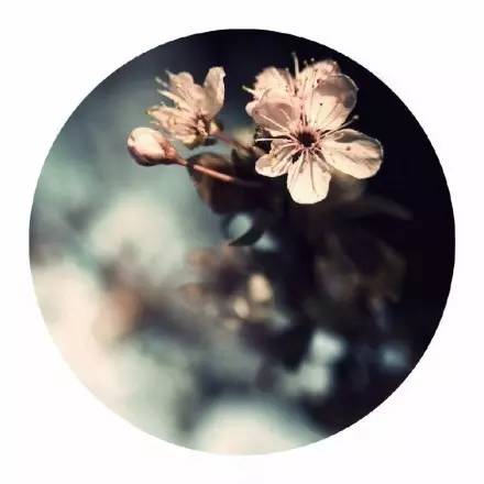 把你的心走过的路，说出来，就是诗啊