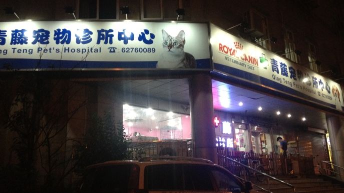 妙手仁心救我狗命锦旗,妙手仁心宠物医院