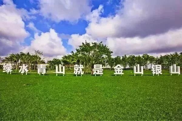 2017难忘的回忆完整,难忘的海口记忆