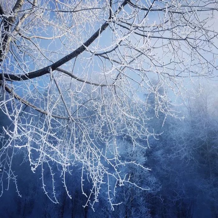 恋与制作人想和你在一起,恋与制作人在你身边值不值