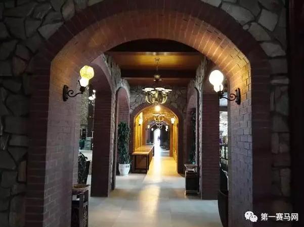 林晓彬：月底开放动物亲子乐园将引进夜间马术表演