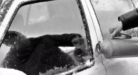 大雪后的爱车,大雪后如何清除车上的雪