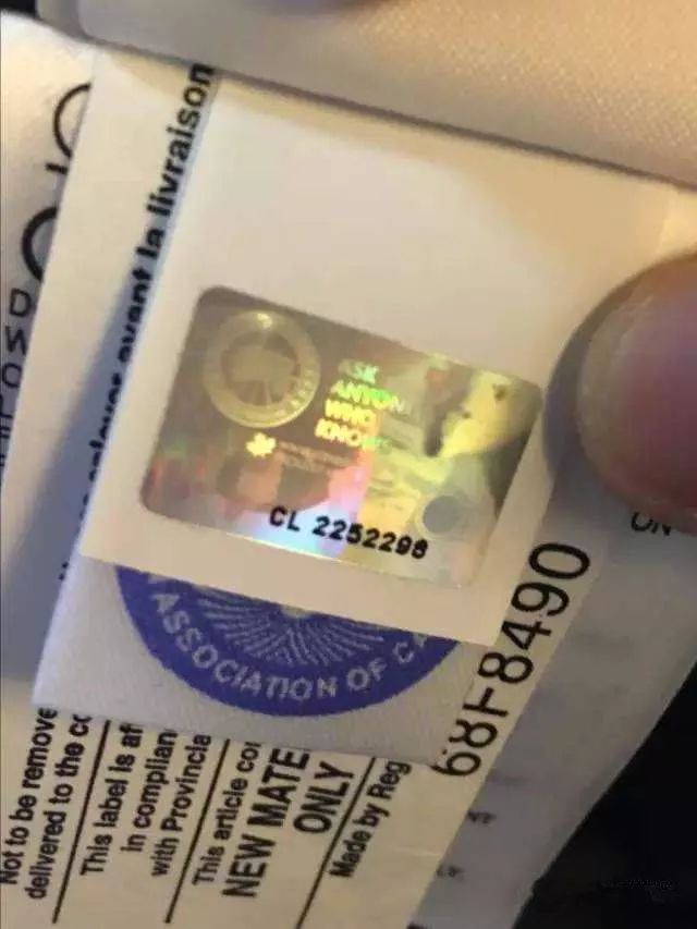 鎶勮鐨勬渶楂樺鐣屾湁澶氶珮,canadagoose