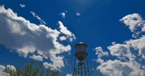 春城秀红嘴鸥图片,春城冬日美景