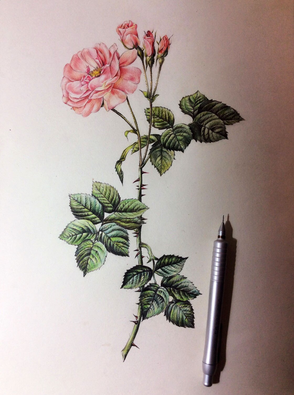 鍒涙剰涓汉涓撹,涓汉鍒涙剰涓撹