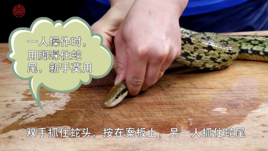 青椒蛇视频大全,衡阳青椒蛇