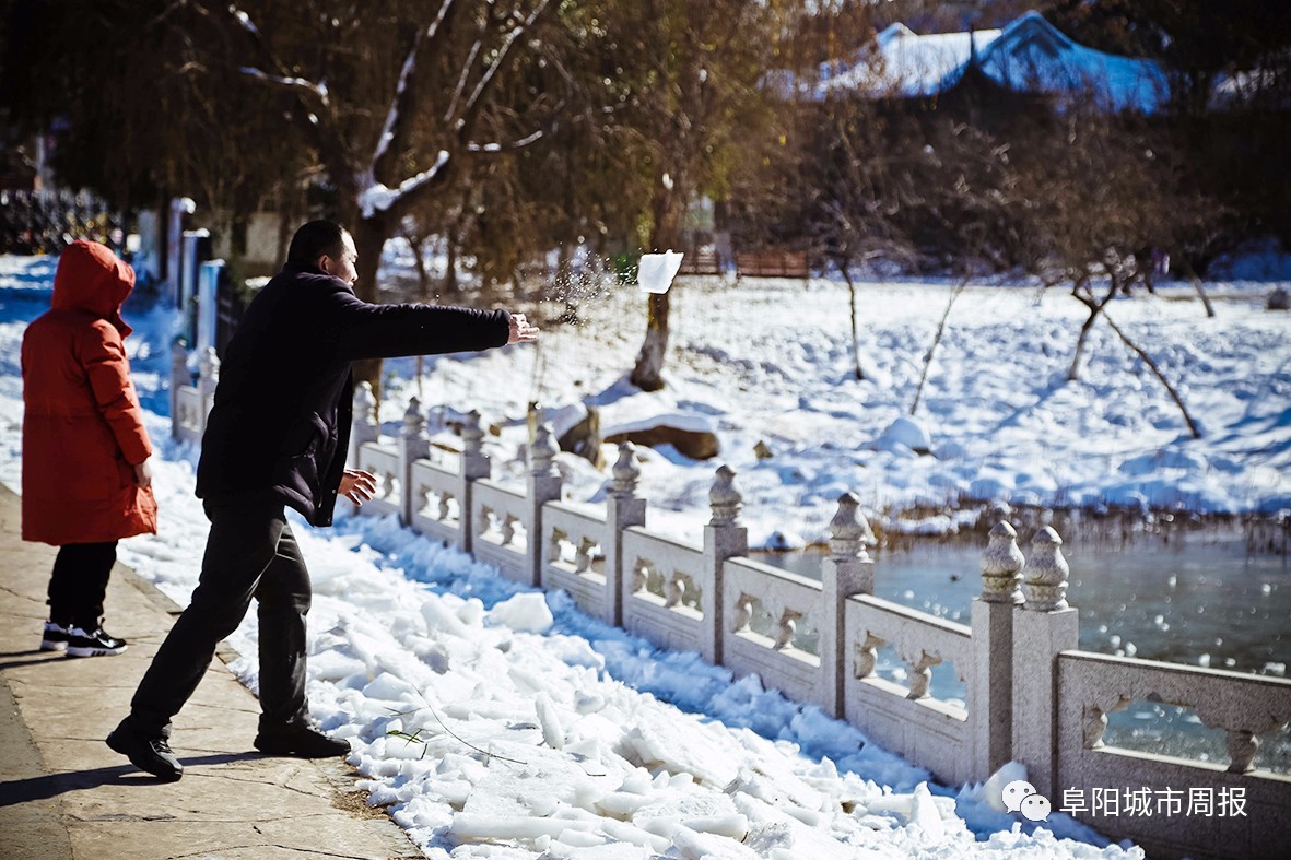 一场雪让风景美如画,一场雪景给城市带来美丽的风景