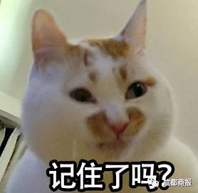 痛心浙江9岁男童狂犬病发作,9岁男孩狂犬病发作家属无奈放弃