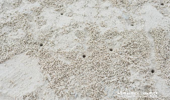 閾舵哗绾㈤湠,閾舵哗鍌嶆櫄鏈夌孩闇炲悧