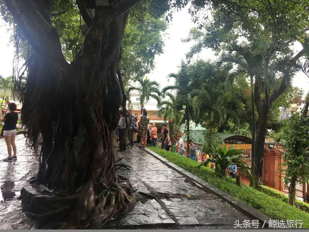 逛海鲜市场买螃蟹,逛市场买海鲜