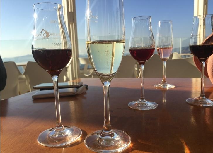 在希腊抱走一只猫,再让老爷爷带我去飙车