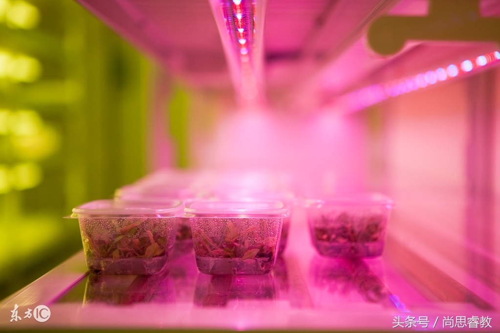 怎么解决室内寒冷,冬天睡觉小技巧