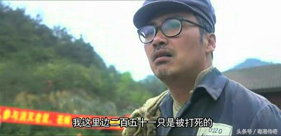 柳云龙风筝郑耀先,柳云龙与郑耀先是什么电视连续剧