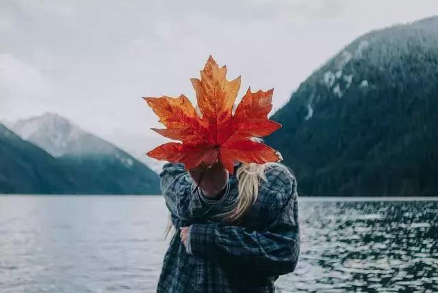 「1.20」加拿大签证指导