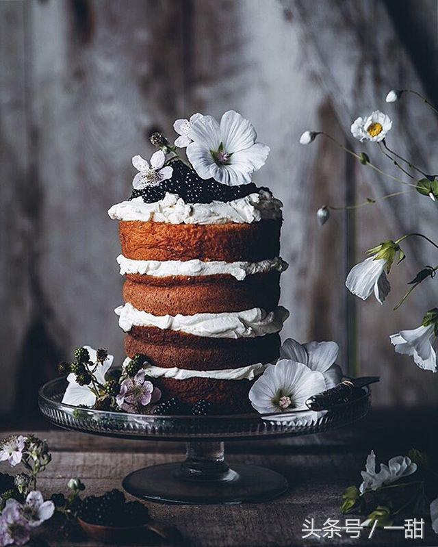 美食图片怎么拍照技巧教学,揭秘美食拍摄技巧震撼你的朋友圈