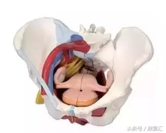 怎么矫正不良身姿,腰椎侧弯骨盆倾斜可以矫正过来吗