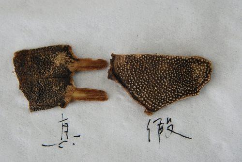 造假最多的十个中药材,名贵中药材造假的有哪些