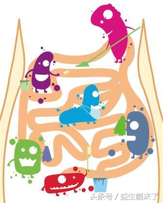 粉状益生菌需要低温保存吗,活性益生菌适宜储存温度