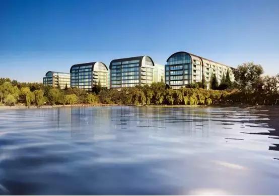 入杭五年,股权榜单上,与万科并列榜首,TA是如何做到的?