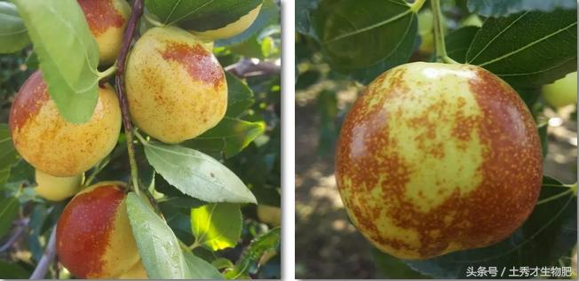 品牌故事第24集,品牌故事季季红完整版