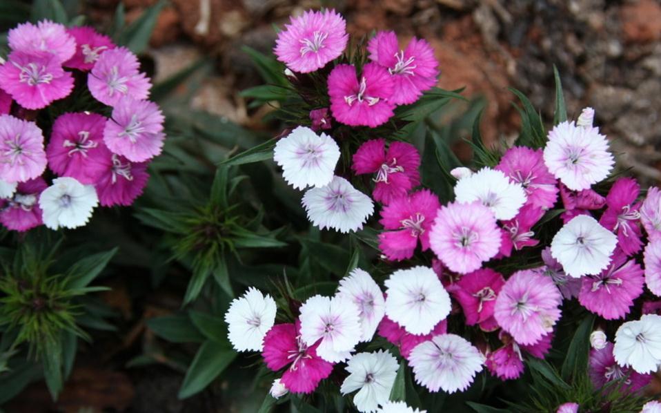 人生低谷了怎么做才能成功,人生逆境低谷纠结时应该怎么样