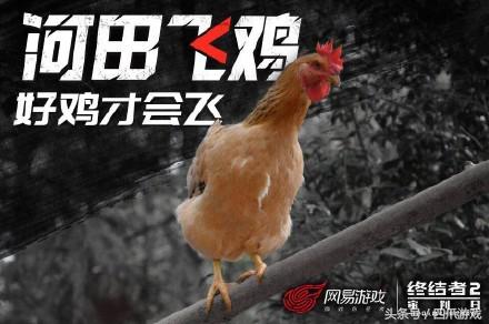 终结者2开养鸡场,终结者开养鸡场