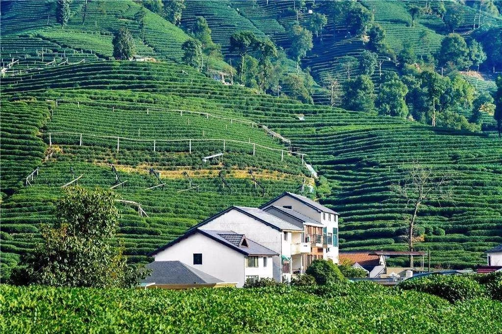 2018年浙江地方景点旅游日历大合集！含杭州，建德，温州，金华！