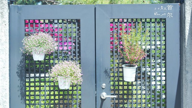 再游首尔，爱上那些不期而遇的美（一）