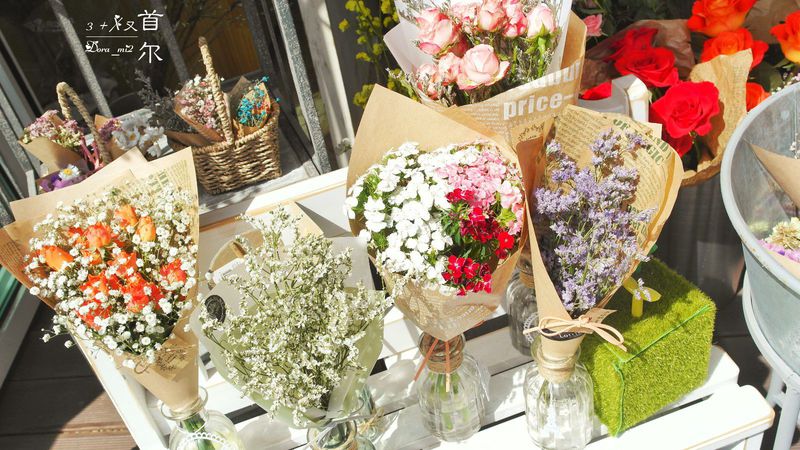 再游首尔，爱上那些不期而遇的美（一）