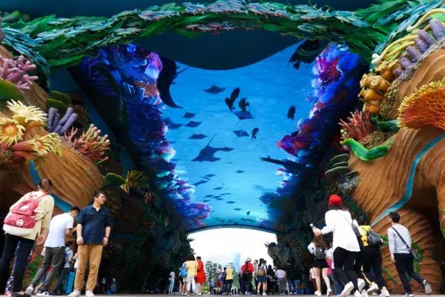 长隆国际海洋王国之旅,长隆企鹅海洋王国两天一夜攻略