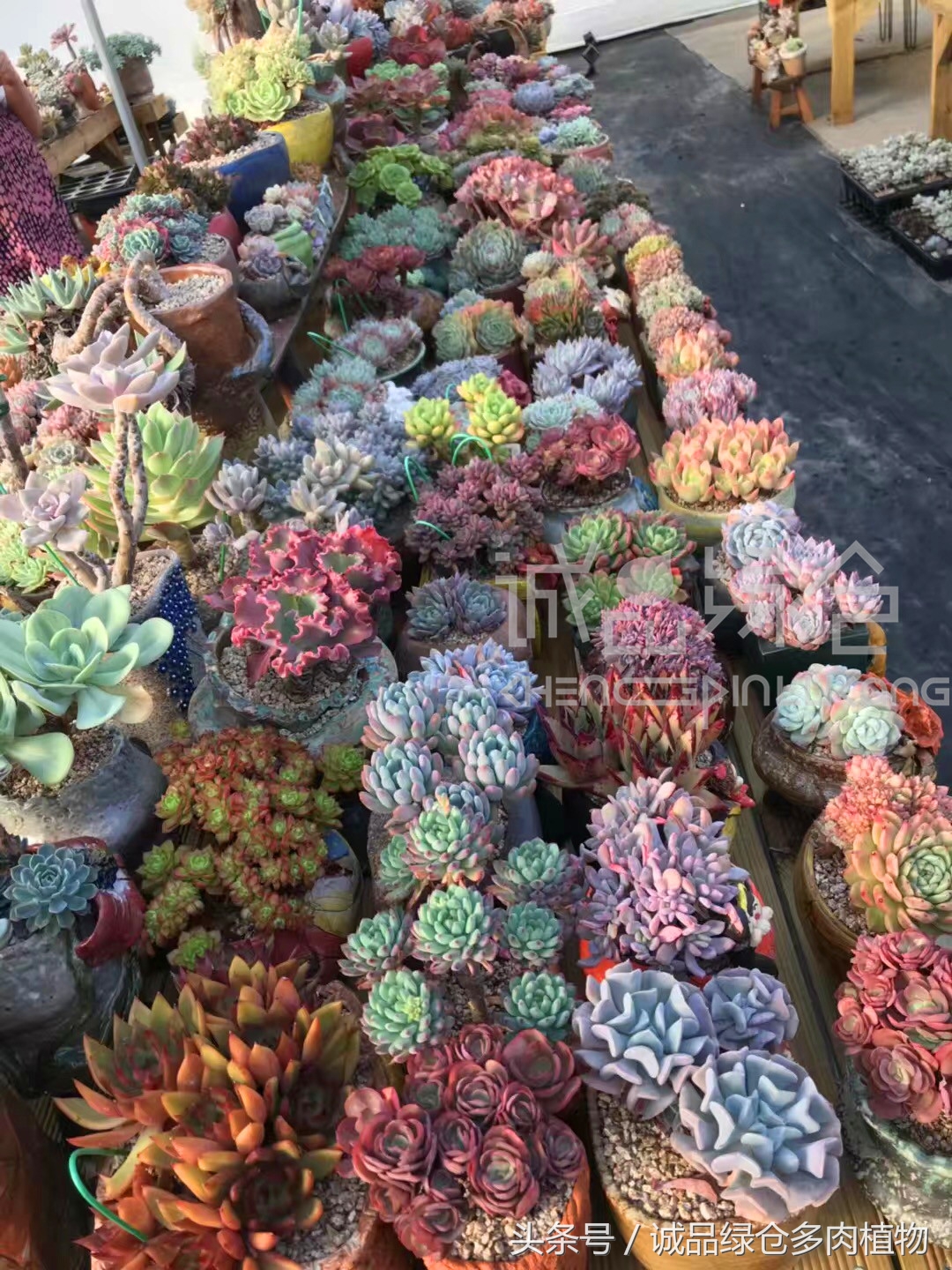 满足你对的所有幻想,满足你对生活所有的想象