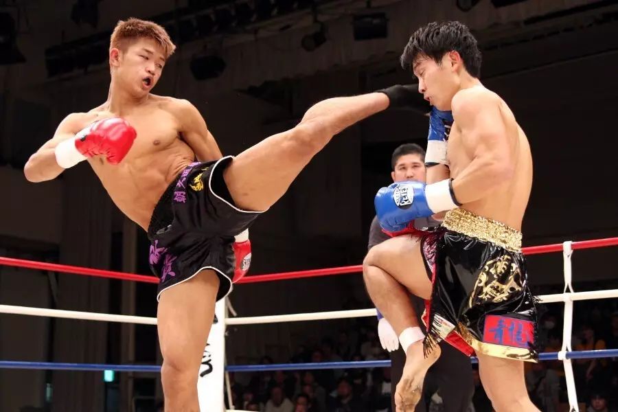 鏃ユ湰鏁ｆ墦涓浗澶哄啝,鏃ユ湰鍏ㄨ儨