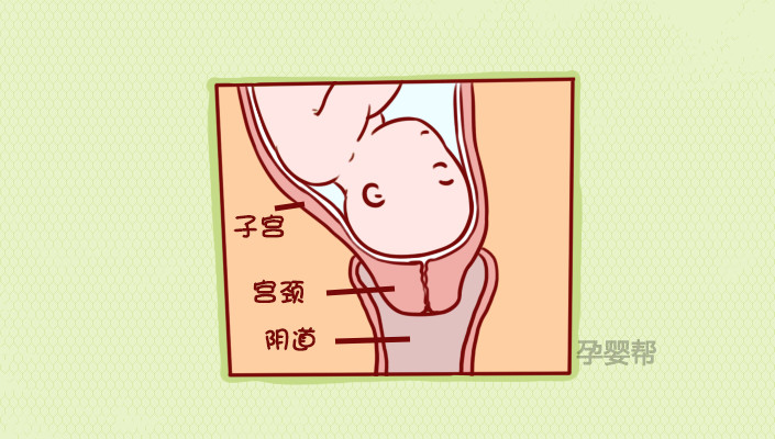 开宫口顺产疼痛难忍,开宫口过程中盆骨痛