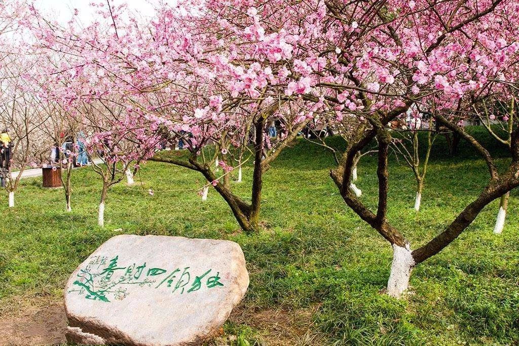 2018年浙江地方景点旅游日历大合集!含杭州,建德,温州,金华!