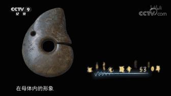 一部国产纪录片弹幕居然全是哈哈哈哈哈哈哈