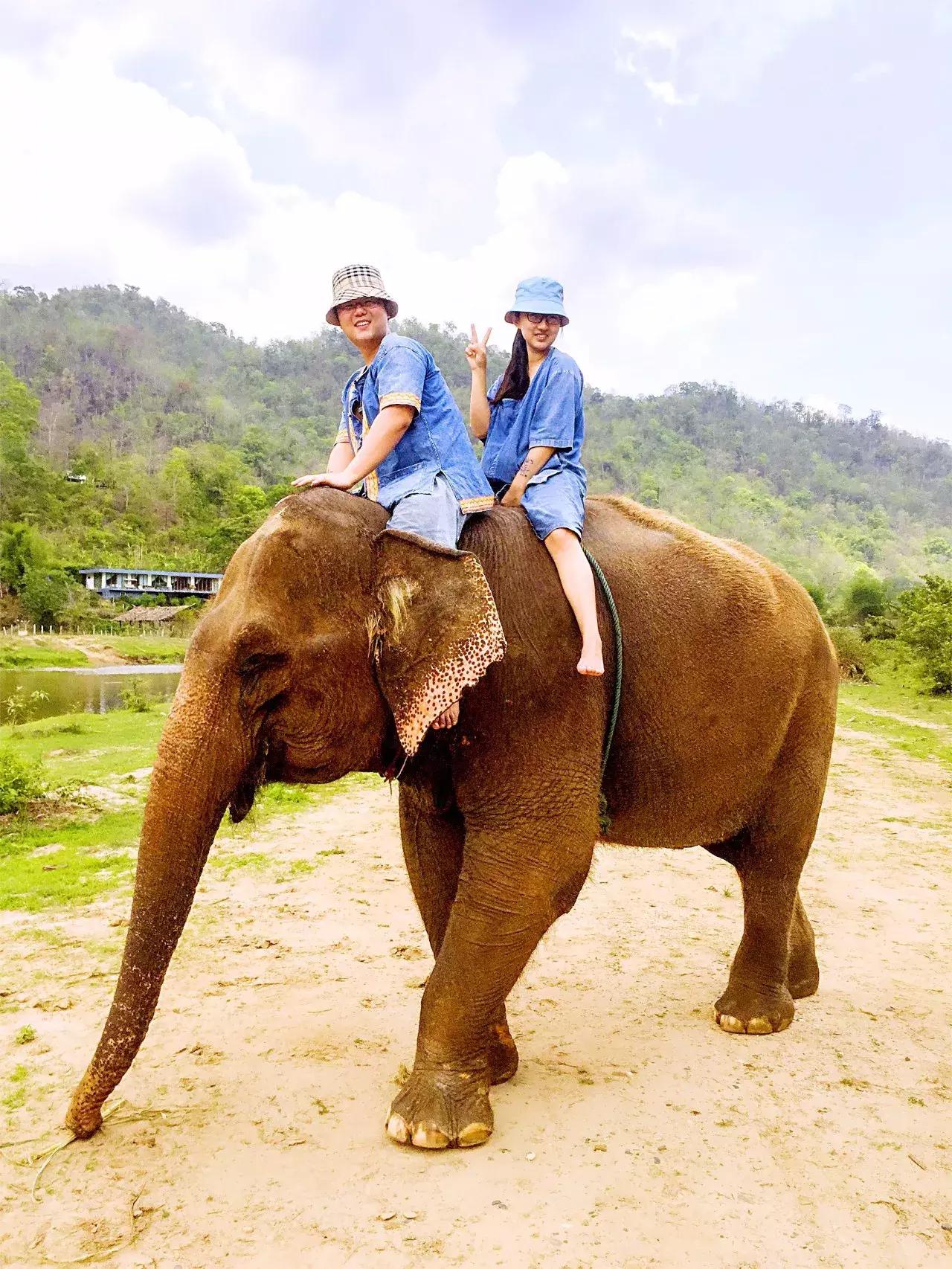 郑州耿直大妞美国开店,包下机舱,签了48个世界知名母婴品牌代理