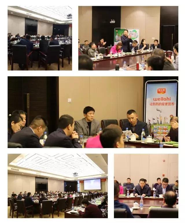 深化战略合作和携手共赢,深化战略合作实现共赢发展