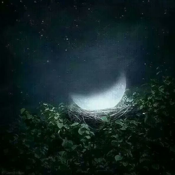 古诗词心有千千结,诗句心有千千结