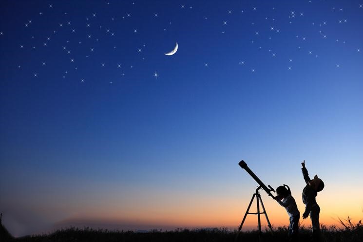 浇灭好奇心无异于谋杀孩子的天性！怎忍心拒绝一个充满好奇的孩子