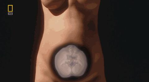 卵子和精子相遇……怎么就变成小孩了？