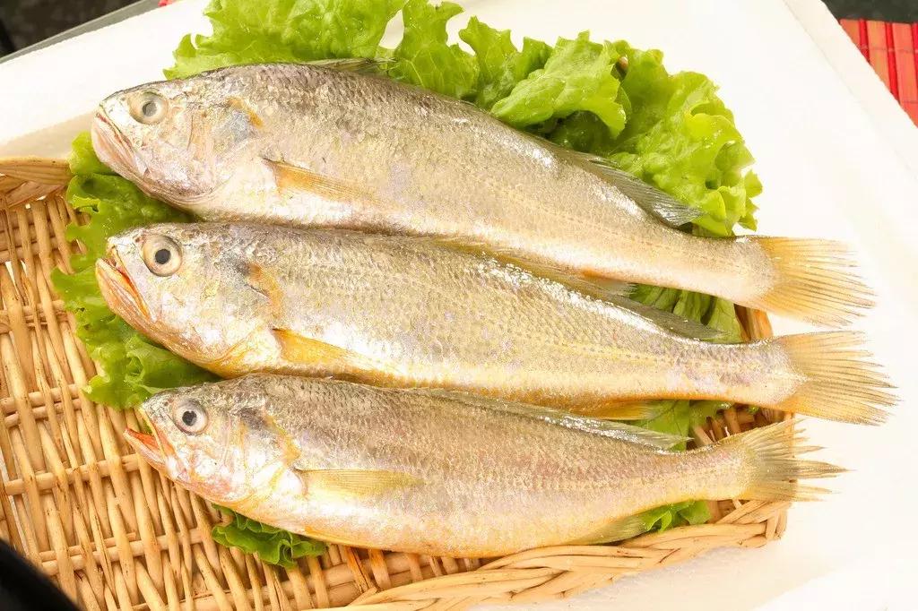 威海冬季海鲜更鲜美,冬季应季海鲜