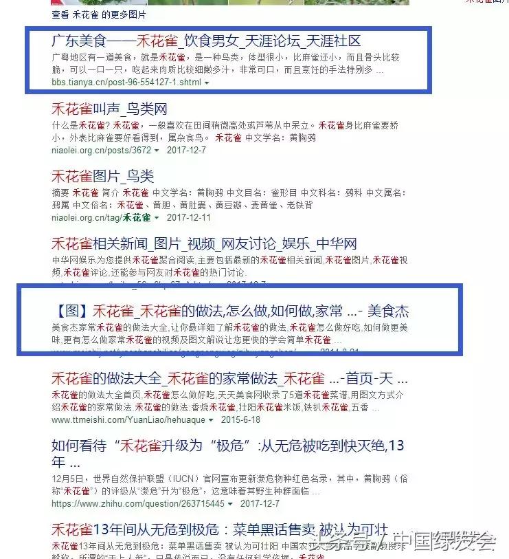 禾花雀搜索对比｜看百度搜狗360必应的社会责任和对用户意见的反应