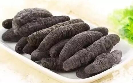 海参有上千种都是一样的吗,全世界海参有多少品种