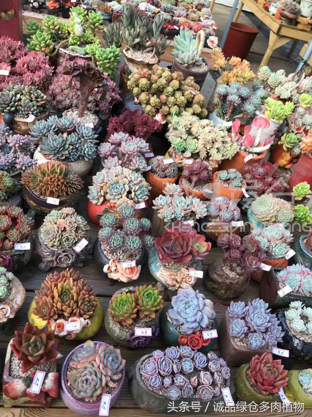 满足你对的所有幻想,满足你对生活所有的想象